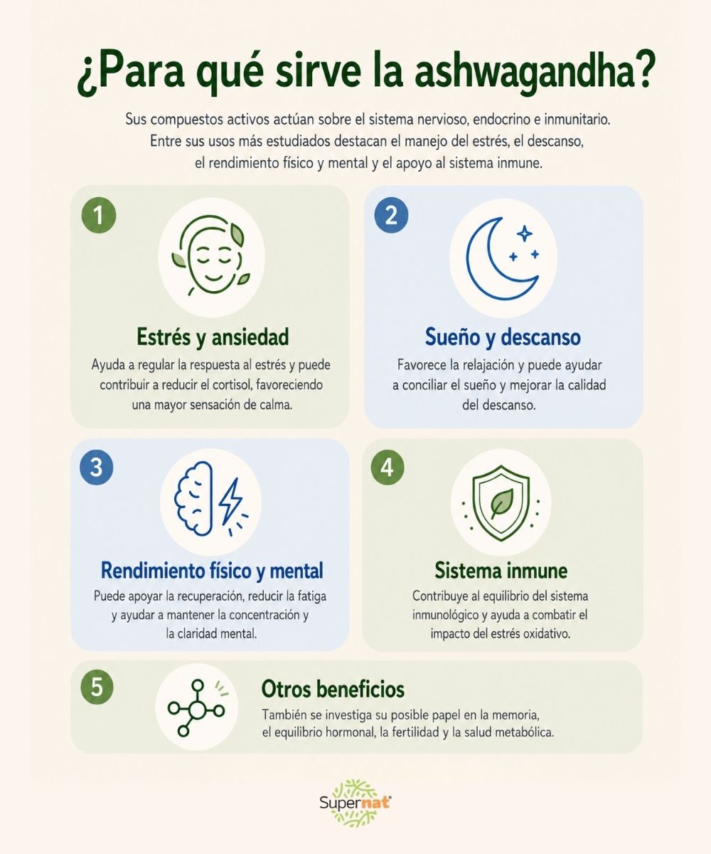 Beneficios de la ashwagandha